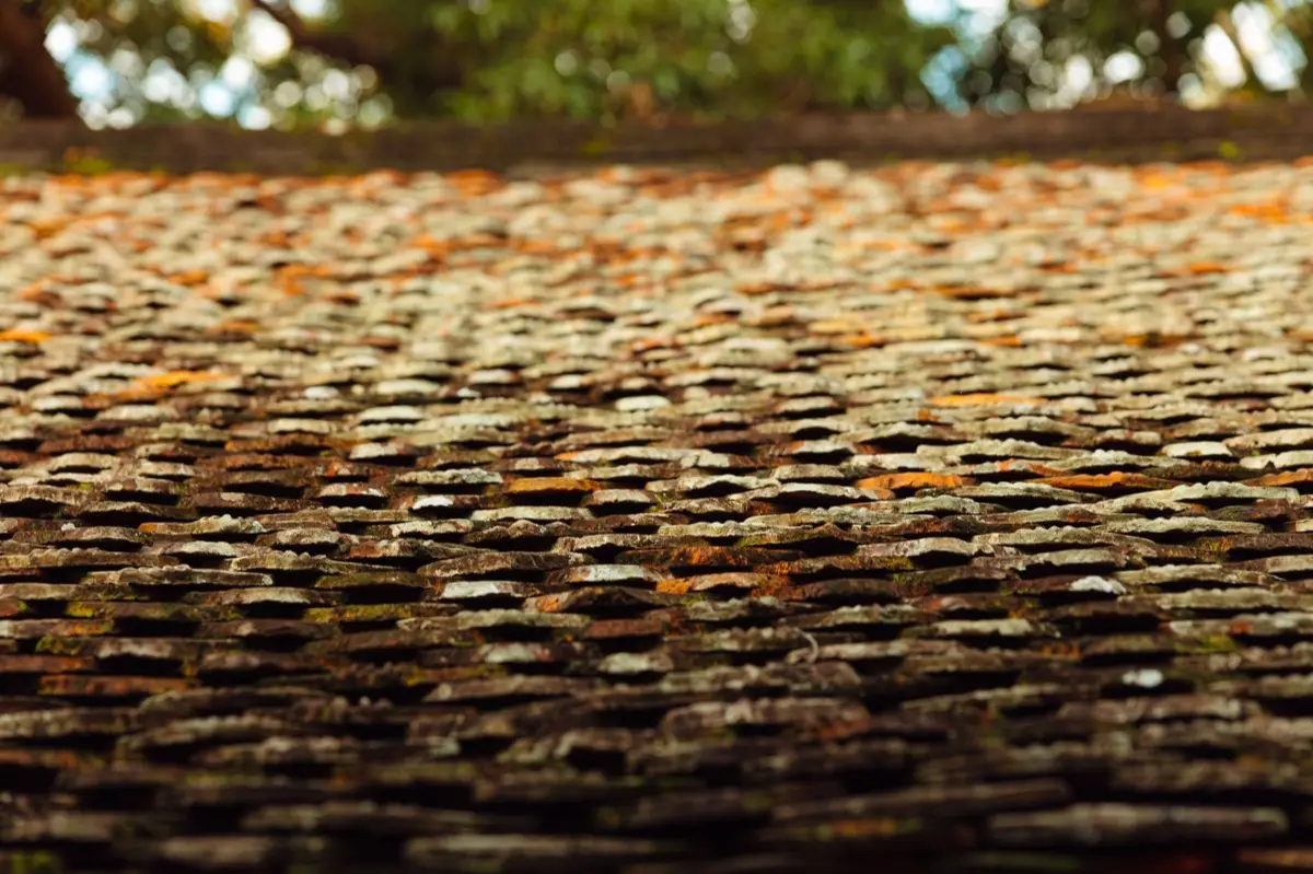 Aging shingle roof with moss growth and granule loss in Green Bay, WI
